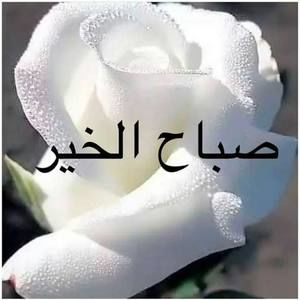 Meet your Posher, Welda